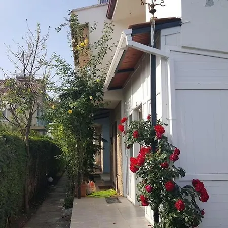 In Front Of Seaside Area Of Comfort In Your Garden *