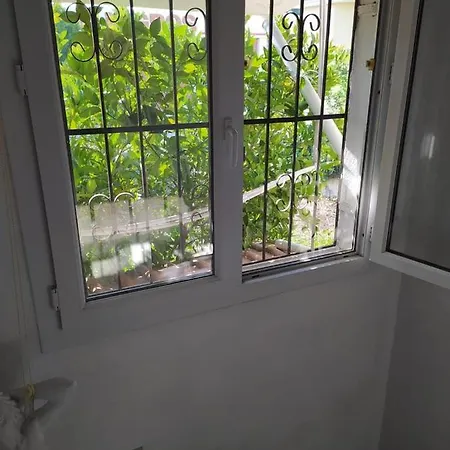 In Front Of Seaside Area Of Comfort In Your Garden
